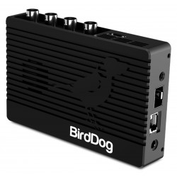 BirdDog 4K HDMI: Codificador/Decodificador HDMI